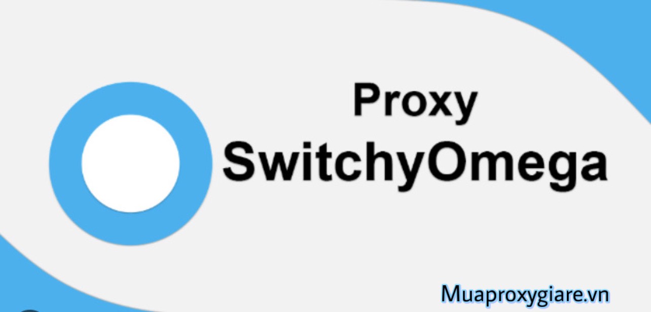 Hướng dẫn sử dụng Add-On Proxy SwitchyOmega Fake IP Proxy